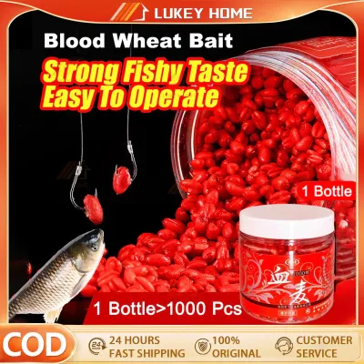 Earthworm Red Baits Tilapia Bait Fish Attractant Red Worm Solid Fish Bait