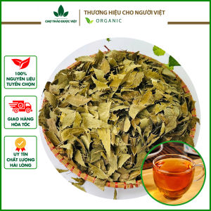 Lá neem Ấn độ 100g khô sạch nguyên lá kháng khuẩn ổn định đường huyết tốt cho tim mạch