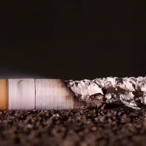 Noe Anti  Patch 30pcs Aid Stop and Quit e Natural Safe and Effective by Zamurra