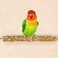 [SG STOCK] Parrot prickly ash wood stand pole claw sharpening stick branch stand stick. 