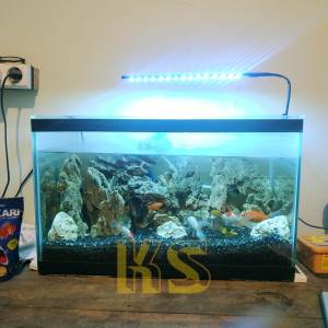 Lampu aquarium aquascape LED smd lampu akuarium jepit 5 volt kabel USB lampu ikan hias