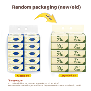 【10 Packs】DWY Tissue viral 5-PLY Tissue Paper facial tissue Soft Air-Cushion tisu tissue small pack