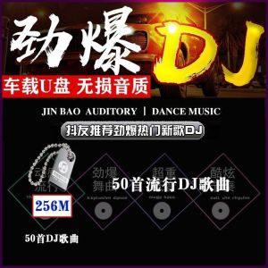 【轻松适配车内】2025热歌DJ车载U盘网络热门流行榜单dj精选歌曲MP3/4音乐优盘 音乐u盘 無損音樂 u盤。。。
