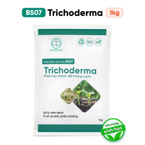 Trichoderma Men Ủ Phân Vi Sinh BS07 1kg - Diệt Nấm Bệnh Trong Đất - Bác Sĩ Cây Xanh