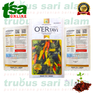 OER TAVI 10gr - Benih bibit biji cabai cabe rawit OER Tahan Virus HALBANERO
