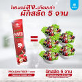มานาไฟเบอร์ 1 กล่อง ส่งฟรี!!  Mana Prolean fiber ลีนไขมัน พุงยุบ ดีท็อกซ์ลำไส้ ไฟเบอร์สูงเทียบเท่าผักสลัด 51 จาน!!. 