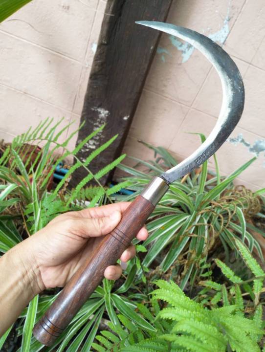 5 อันดับเคียวเกี่ยวข้าวและเกี่ยวหญ้าที่ดีที่สุดในปี 2025: คมกริบ ทนทาน ใช้งานง่าย