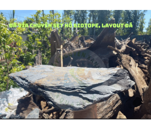 [Siêu Sale] 1KG Đá Vỉa Tuyển Chọn Setup Bể Thuỷ sinh