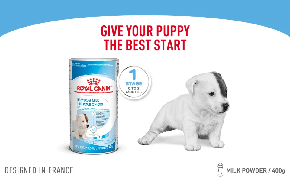 Royal Canin Babydog Milk (400g) Lazada Lazada PH