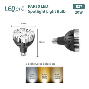 LED PRO PAR30 LED E27 BULB 20W/40W