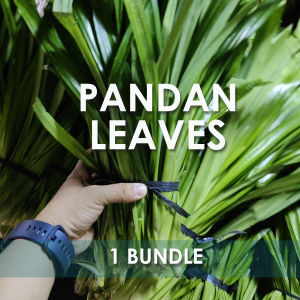 TINYBOX Fresh Lemon Grass Pandan Leaves Spring Onion Green Sili Fresh Local Vegetable Herbs Tanglad Dahon Spices and Herbs 1Bundle