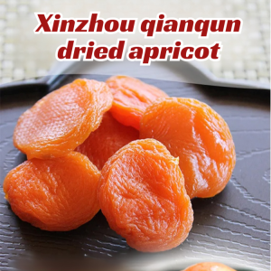 Sweet and Sour Delicious Dried Apricot Snacks Dried Apricot with Candy Dried Apricot Meat