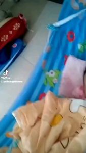 เปลเด็ก_เปล_ชุดเปลเด็ก-เปลเด็กมีมุ้งบนล่าง-ได้ทั้งชุดขาเปล+ผ้าเปล-ส่งด่วนส่งฟรี-ส่งฟรี-ส่งฟรี-มีเก็บปลายทาง