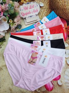 Combo 5 Quần Lót Nữ Thun Cotton Lưng Cao Đáy Dài (BigSize 70-85 Kg) 8008 Co Giãn Tốt Mặc Dễ Chịu Mát Mẻ - Đồ Lót Quỳnh Anh