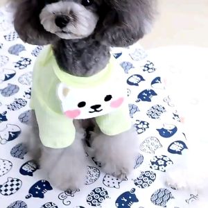 เสื้อมีแขนหมา เสื้อมีแขนแมว เสื้อหมา เสื้อแมว เสื้อสัตว์เลี้ยง เสื้อสุนัข มาพร้อมกับผ้ากันเปื้อนลายหมี คุ้มสุดน่ารักมาก