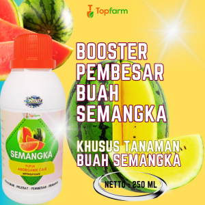 Pupuk Semangka Yang Ampuh / Pupuk Booster Untuk Semangka / Obat Pembesar Buah Semangka / Obat Semangka Pecah Batang / Pupuk Cair Khusus Semangka