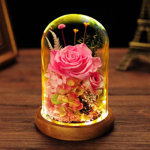 FCSeangel Womens Day gift Preserved Fresh Flower Dried flower Beauty and The Beast Fresh Red Eternal Roses In A Glass Dome For Valentines Day Gifts Christmas Goddess Day Girlfriend gift Home Decor Ornaments