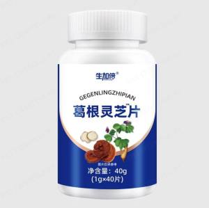 vivi lifestyle Ganoderma lucidum liver protection tablets