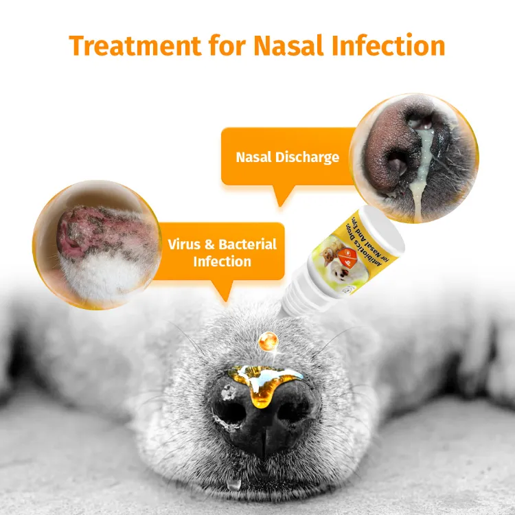 Cassiel Pet Nasal Eye Antibiotic Drops For Runny Nose Cloudy