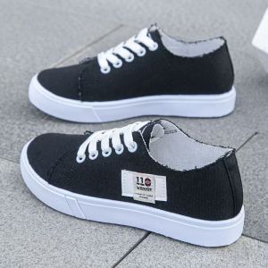 Free Shipping Canvas Shoes For Women Autumn Collection New Styles Spring White Sneakers Student Shoes Casual Flat Shoes Skate Shoes