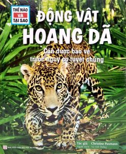 Thế Nào Và Tại Sao: Động Vật Hoang Dã Cần Được Bảo Vệ Trước Nguy Cơ Tuyệt Chủng