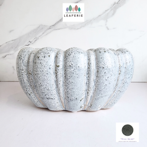 The Leaferie Bria long shallow ceramic pot flowerpot flower plant pots planter planters