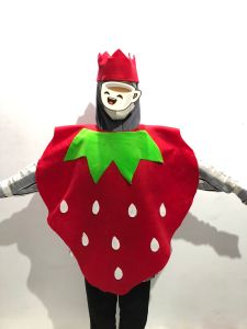 Kostum Pentas Anak Kostum Karnaval | Kostum Buah Anak