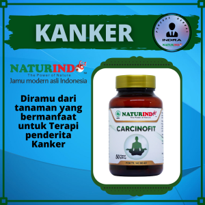 Obat Kanker Tumor Terapi Penyembuhan Kangker Payudara Ganas Ampuh Kapsul Herbal Carcinofit Naturindo