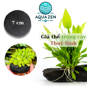 Mua 5 tặng 1 Bí Mật Xanh: Giá Thể Đặc Biệt Cho Cây Thủy Sinh Kích Cỡ 7cm - Làm Nên Bể Cá Hoàn Mỹ