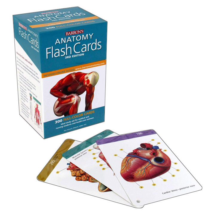 Barron's Anatomy Flash Cards Lazada.co.th