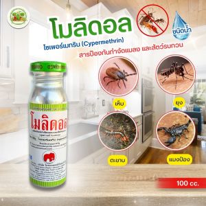 โมลิดอล (ชนิดน้ำ) สารกำจัดแมลงคลาน เห็บ หมัด มด ไซเพอร์เมทริน 10% กำจัดแมลงคลาน ในคอกสัตว์ บ้าน พื้นที่ต่างๆ 100 ซีซี