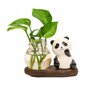 Contemporary Hydroponic Glass Jar Collection With Secure Base For Indoor Herbage