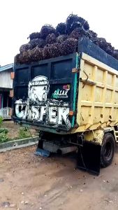Mengenal Knalpot Brong Kalimantan, Turbo Canter, Hino Dutro, Elf Dyna Rino & Umplung Truk