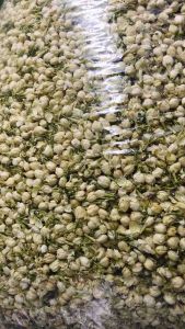 Trà nụ nhài trắng cao cấp túi 100g