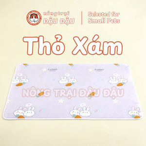 Thảm Tã Thấm Hút Lót Chuồng Cho Thỏ Bọ Ú (Chuột Lang) Pee Pads