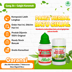GANG JIE + GALGIN KAROMAH De Nature PAKET OBAT PELURUH BATU GINJAL KENCING BATU PALING AMPUH