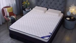 Thickened Latex Mattress Household Mattress Double Foldable Student Dormitory Single Person Double Mattress Floor Mat Four Seasons Universal