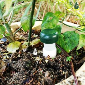 Ceramic Self-watering Tool for Automatic Watering in Garden or Indoor Plants