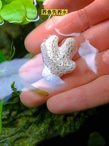 Aquarium Filter 1000gram Media Natural Coral Bone Biological Filter for Fish Tank Aquarium Accessories