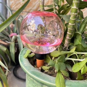 ADAMOL 500ml Plant Watering Bulbs Plastic Globular Automatic Watering Ball Greenhouse Garden Self-Irrigation Drip Irrigation System Indoor Plants