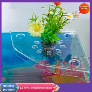 Graceful Fish Tank Corner Storage Rack Punch-free Storage Rack Fish Tank Top Landscape Bracket Hydroponic Green Plant Tray