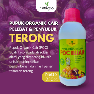 Pupuk Penyubur Tanaman Terong Ungu Hijau Belanda / Obat Pelebat Terong Ungu Pupuk Booster Penyubur