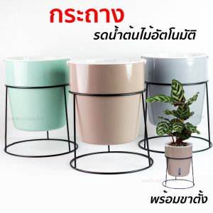 คลิป กระถางปลูกต้นไม้พลาสติก พร้อม ขาตั้ง (สีพลาสเทล) รดน้ำไม้อัตโนมัติ พลาสติกหนา สำหรับปลูกต้นไม้ ฟอกอากาศ หรือต้นไม้ทั่วไป