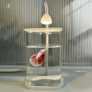 Mini Landscaped Betta Fish Tank Desktop Aquarium Set High-Definition Transparent Glass With LEDLight
