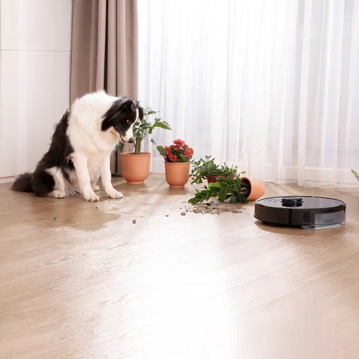Roborock%20S6%20Max%20V%20Robotic%20Vacuum%20Cleaner%20Genuine%20Official%20Set%20Local%20Seller%20Warranty%201%20Year%20-%20Image%206