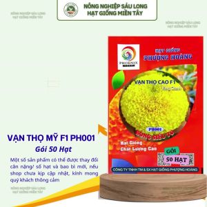Gói 50 Hạt Vạn Thọ Pháp Cao F1 PH001 – Vàng Chanh Cao 70–90cm