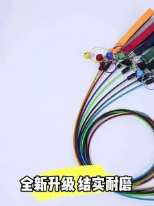 2026 Hot Sale [ Shipped from China ] Steel wire dog leash and collar integrated dog walking leash for small and large dogs P Dog leash p Rope B3