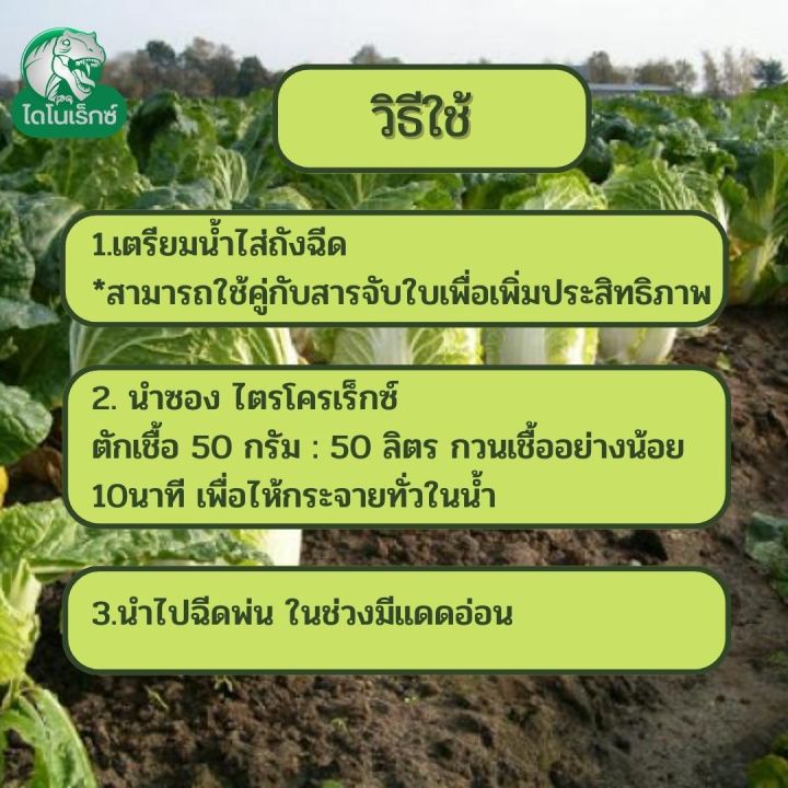 %E0%B8%81%E0%B8%B3%E0%B8%88%E0%B8%B1%E0%B8%94%E0%B9%80%E0%B8%8A%E0%B8%B7%E0%B9%89%E0%B8%AD%E0%B8%A3%E0%B8%B2%20%E0%B8%AA%E0%B8%B2%E0%B9%80%E0%B8%AB%E0%B8%95%E0%B8%B8%E0%B8%82%E0%B8%AD%E0%B8%87%E0%B9%82%E0%B8%A3%E0%B8%84%E0%B9%80%E0%B8%AB%E0%B8%B5%E0%B9%88%E0%B8%A2%E0%B8%A7%20%E0%B9%83%E0%B8%99%20%E0%B8%9C%E0%B8%B1%E0%B8%81%E0%B8%81%E0%B8%B2%E0%B8%94%E0%B8%82%E0%B8%B2%E0%B8%A7%20%E0%B9%84%E0%B8%95%E0%B8%A3%E0%B9%82%E0%B8%84%E0%B9%80%E0%B8%94%E0%B8%AD%E0%B8%A3%E0%B9%8C%E0%B8%A1%E0%B8%B2%20%E0%B9%84%E0%B8%95%E0%B8%A3%E0%B9%82%E0%B8%84%E0%B9%80%E0%B8%A3%E0%B9%87%E0%B8%81%E0%B8%8B%E0%B9%8C%20%E0%B8%9B%E0%B8%A5%E0%B8%AD%E0%B8%94%E0%B8%A0%E0%B8%B1%E0%B8%A2%E0%B8%95%E0%B9%88%E0%B8%AD%E0%B8%84%E0%B8%99%E0%B9%81%E0%B8%A5%E0%B8%B0%E0%B8%AA%E0%B8%B1%E0%B8%95%E0%B8%A7%E0%B9%8C%E0%B9%80%E0%B8%A5%E0%B8%B5%E0%B9%89%E0%B8%A2%E0%B8%87%20-%20Image%204