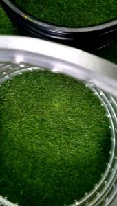 Niềng nhôm (vành nhôm) thái lan professional rim dành cho các dòng xe Honda yamaha Suzuki size 17 msp *2109 Niềng Xe Máy Màu Bạc Đen Sản Phẩm Bảo Hành 1 Tháng - Lazada