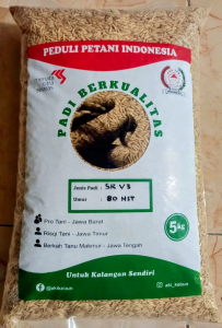 PADI PREMIUM SR V3 TERBARU SRV3 BERAT 5 KG